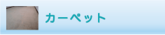 カーペットのクリーニング