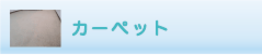 カーペットのクリーニング