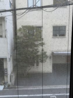 窓ガラス/サッシクリーニング　広島　ハウスクリーニング