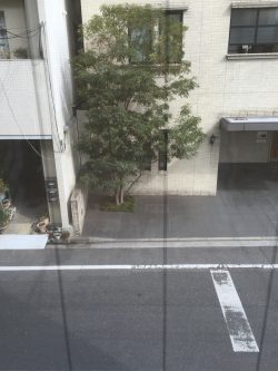 窓ガラス/サッシクリーニング　広島　ハウスクリーニング