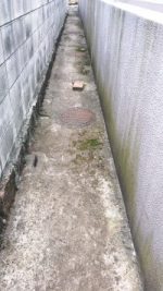 草抜き(手作業) 広島市 空き地の雑草クリーニング