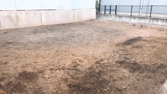 草抜き(手作業) 広島市 空き地の雑草クリーニング